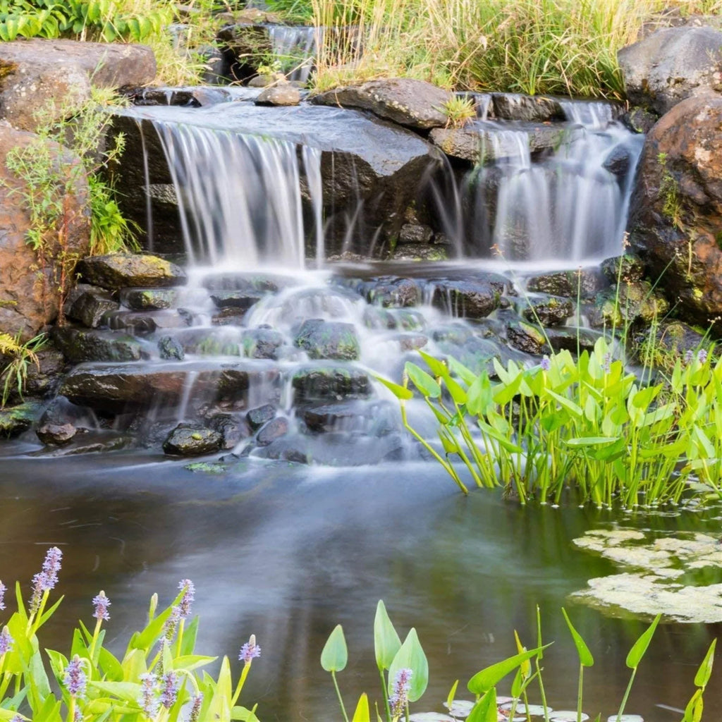 Ponds Waterfalls Piranha and Direct PONDS Gardens, Pump OFF - Drive Series Submersible Water GPH for PN-3000 HALF 3,000