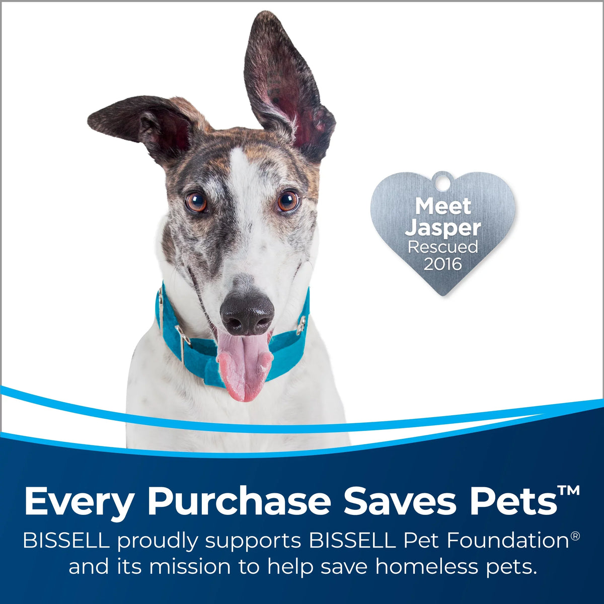 Vacuum BISSELL Pet Multi-Surface SurfaceSense 3439 PowerLifter