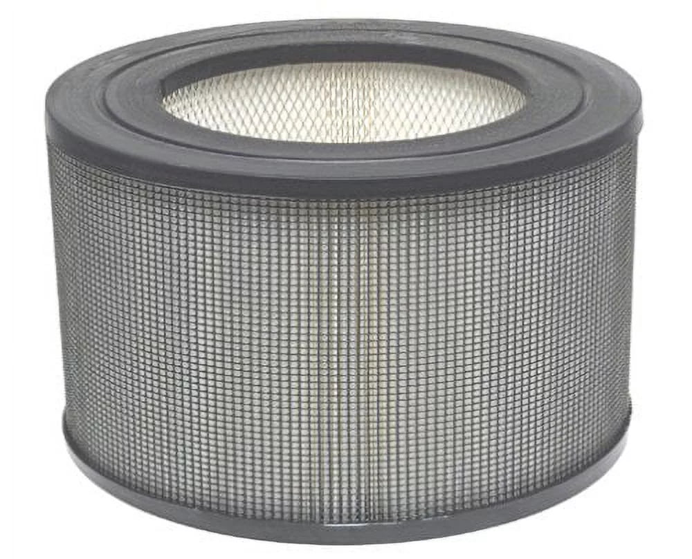 Filter 21500/21600 12 MERV Purifier Air Honeywell