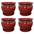 Saucer, Patio Round Ceramic Southern Planter with (4 Pack) Wisteria 8" Pot