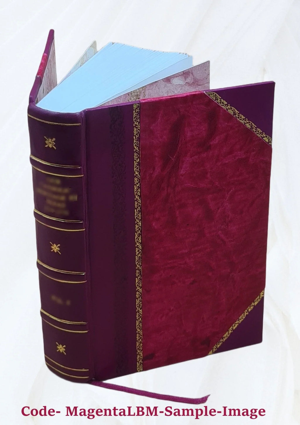 Bound] [Leather Programmed - - German Text Introduction FSI Student