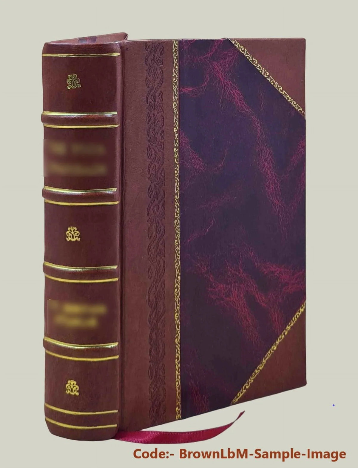 v.11-12 Storia e Verci [Leather 1791 della ... veronese, Bound] marca di trivigiana Volume Giambatista