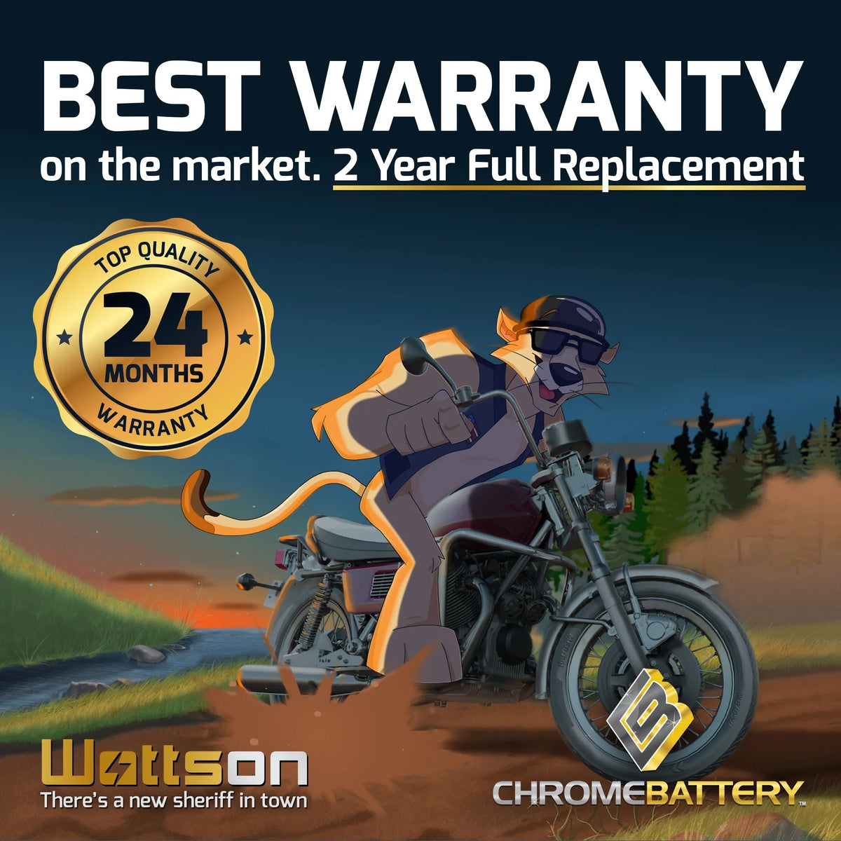 CCA) Volt,30 (30L-BS Battery Pirate (ski-doo) 12 Expedition Ah, Se Battery Snowmobile Brp YTX30L-BS 270 for Year (15-17)
