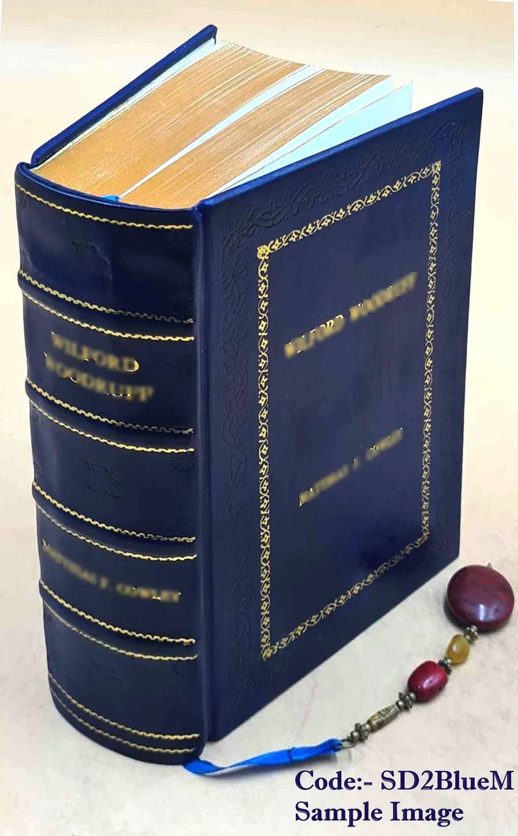 Cinderella, Leather and o'Rushes and Cap Bound] [Premium Catskin, hundred three Cinderella of 1893 forty-five variants