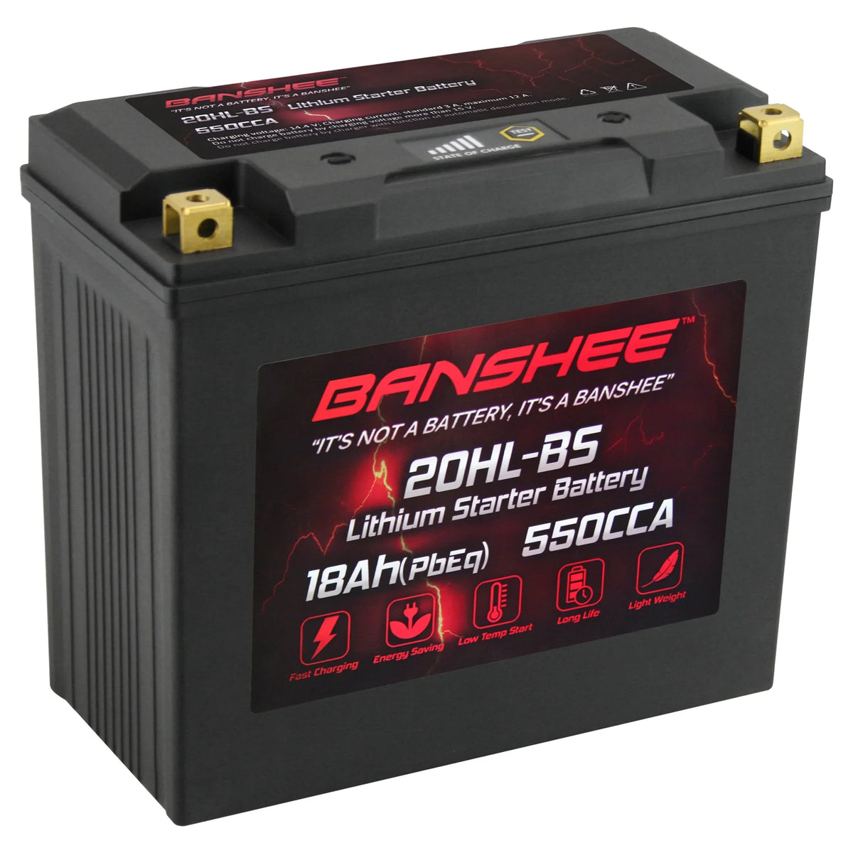 Banshee Sea-Doo LiFePO4 2016 Compatible 2016 Pro Battery 215 to Wake YTX20L-BS Motorsports with