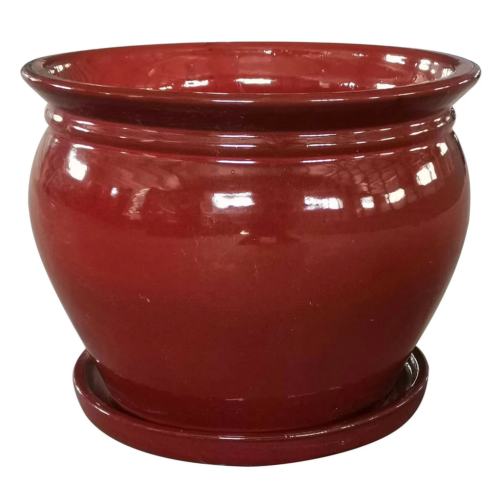 Saucer, Patio Round Ceramic Southern Planter with (4 Pack) Wisteria 8" Pot