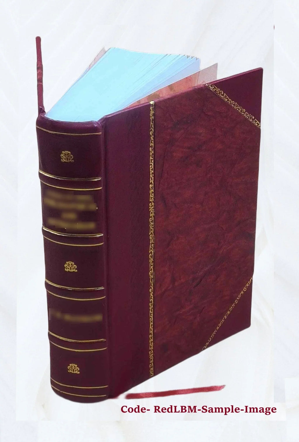 v.11-12 Storia e Verci [Leather 1791 della ... veronese, Bound] marca di trivigiana Volume Giambatista