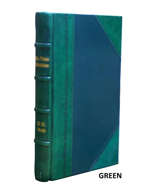 River, Lorenzo v.4 [LEATHER : California BOUND] study. 1994 feasibility Volume San