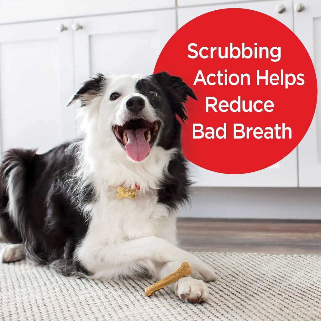 Per Brushing Treats, Milk-Bone Oz. Dental Small/Medium, 25 Chews Dog 19.6 Daily Bag, Bones Bag