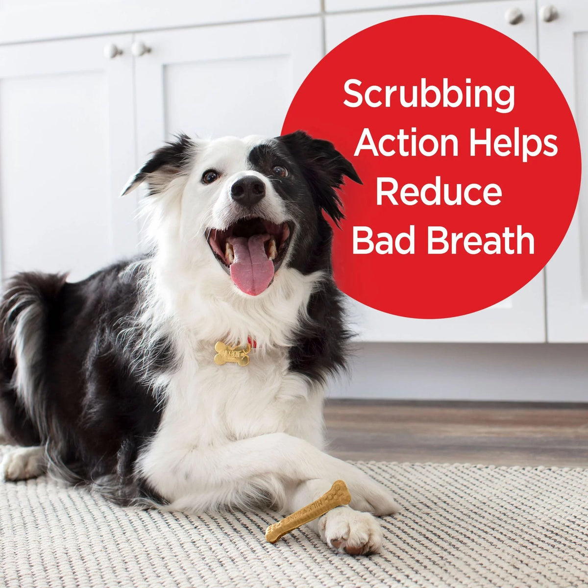 Per Brushing Treats, Milk-Bone Oz. Dental Small/Medium, 25 Chews Dog 19.6 Daily Bag, Bones Bag