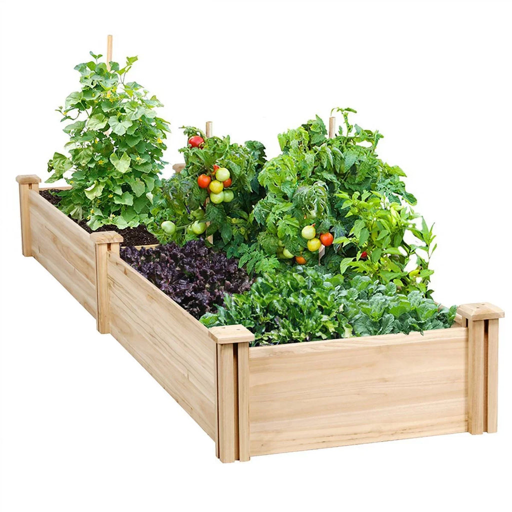 Greenhouse Alden Yard Raised Bed Wooden Design Planter Garden Patio for Box
