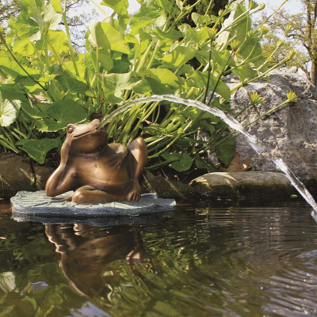 78311 Frog Pad Aquascape Lazy Lily Fountain On